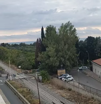 Foto annuncio 14