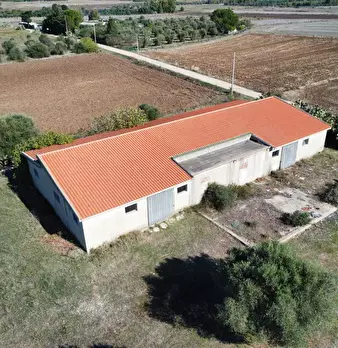 Foto annuncio 4