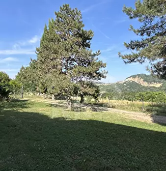 Foto annuncio 3