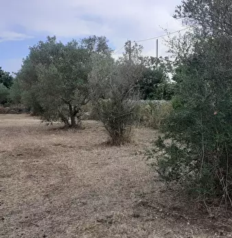 Foto annuncio 63