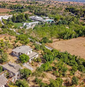 Foto annuncio 2