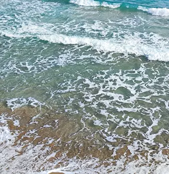 Foto annuncio 79
