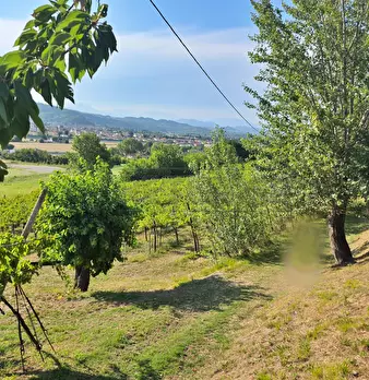 Foto annuncio 2