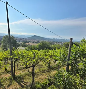 Foto annuncio 3