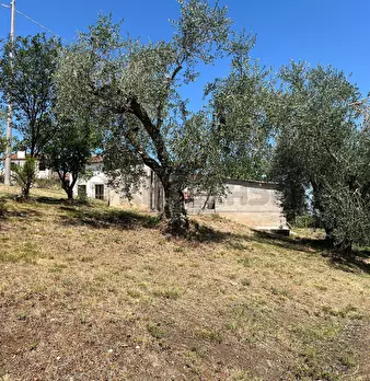 Foto annuncio 17