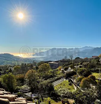 Foto annuncio 37