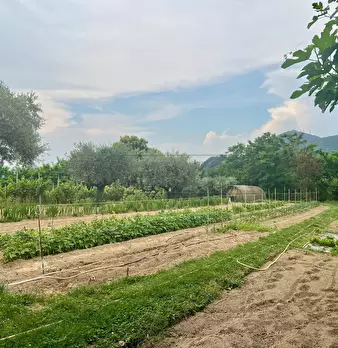 Foto annuncio 27