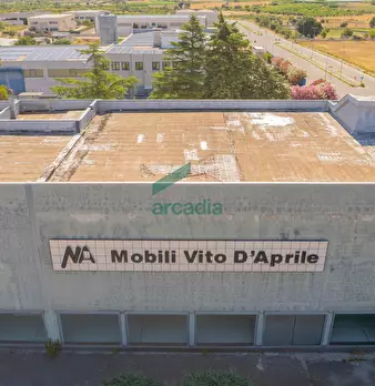 Foto annuncio 16