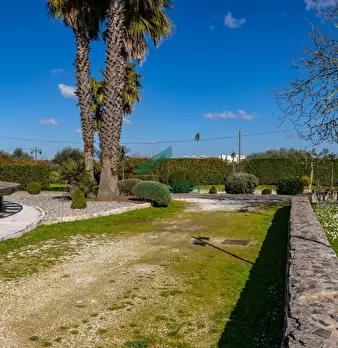 Foto annuncio 51