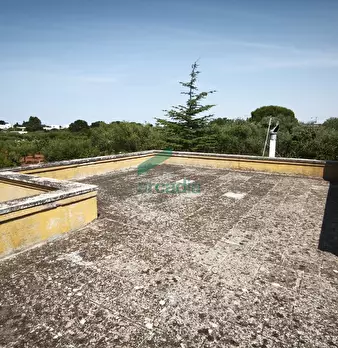 Foto annuncio 33