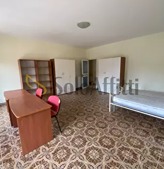 Foto annuncio 12
