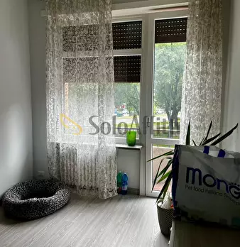 Foto annuncio 10