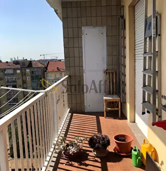 Foto annuncio 31