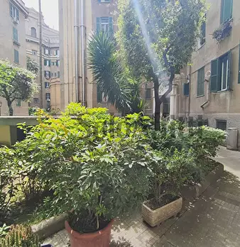 Foto annuncio 19
