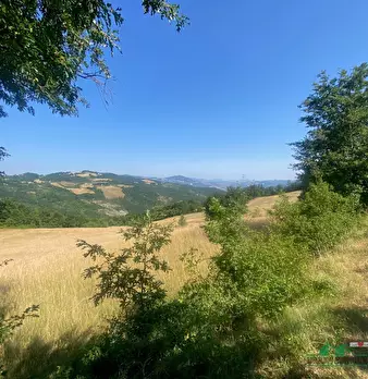 Foto annuncio 7