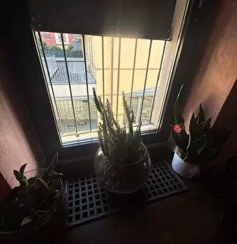 Foto annuncio 40