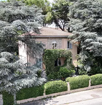 Foto annuncio 46