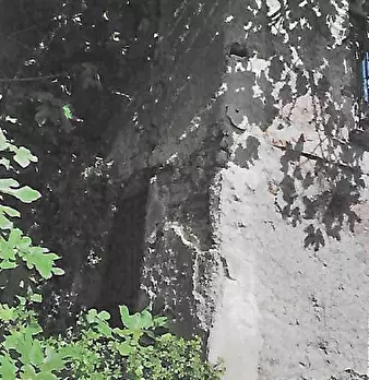 Foto annuncio 15