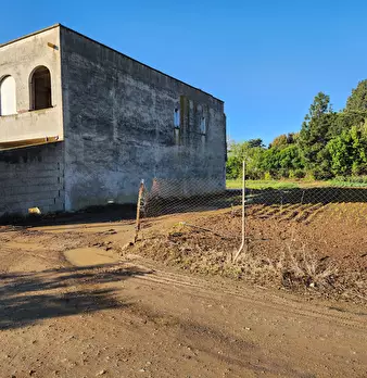 Foto annuncio 7