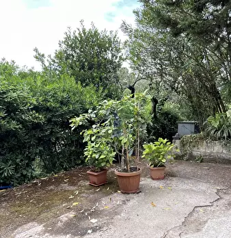 Foto annuncio 9