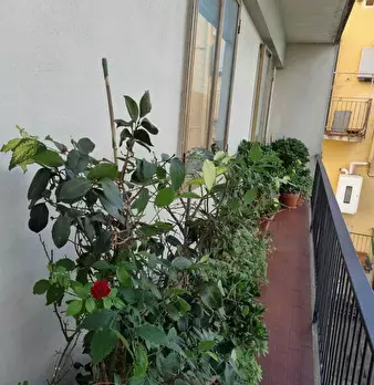 Foto annuncio 19