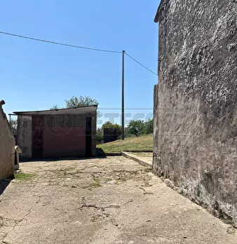 Foto annuncio 10