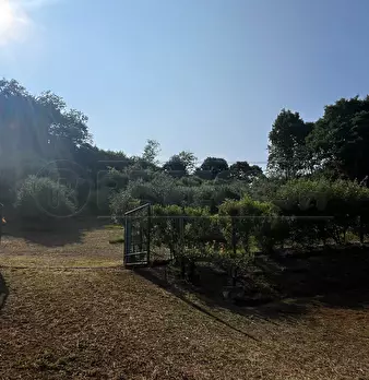 Foto annuncio 33