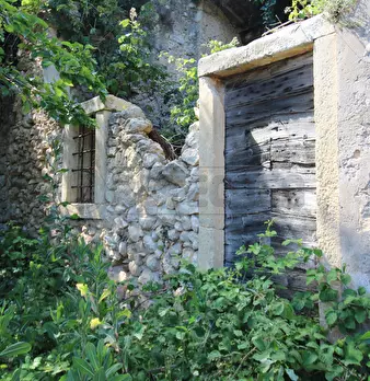 Foto annuncio 5