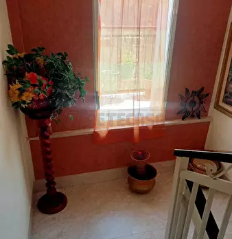 Foto annuncio 11