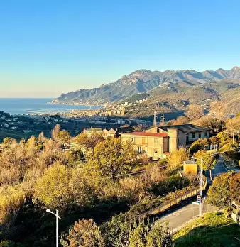 Foto annuncio 1