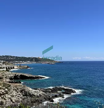 Foto annuncio 48