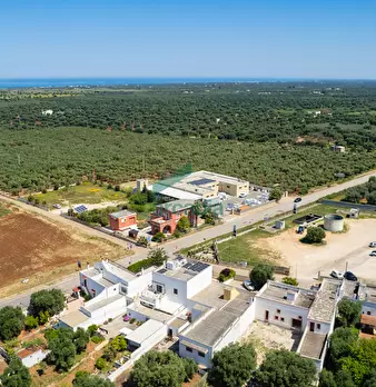 Foto annuncio 11