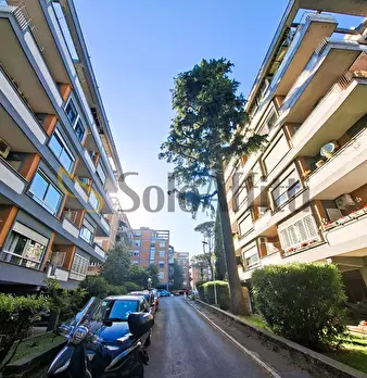 Foto annuncio 39