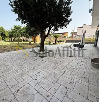 Foto annuncio 21