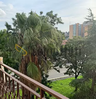 Foto annuncio 29