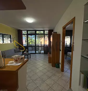 Foto annuncio 9