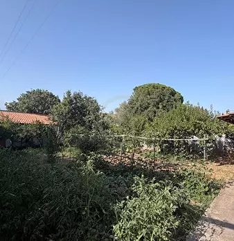 Foto annuncio 3