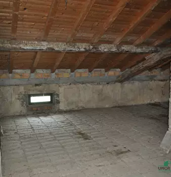 Foto annuncio 44