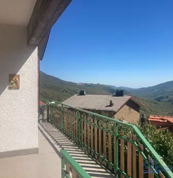 Foto annuncio 7