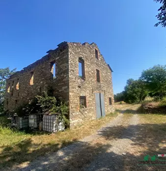 Foto annuncio 30