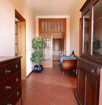 Foto annuncio 33