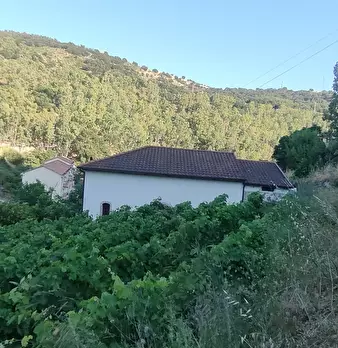 Foto annuncio 11