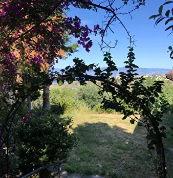 Foto annuncio 10