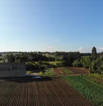 Foto annuncio 3