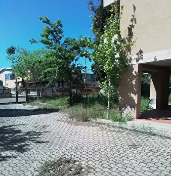 Foto annuncio 11
