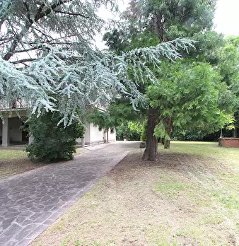 Foto annuncio 23