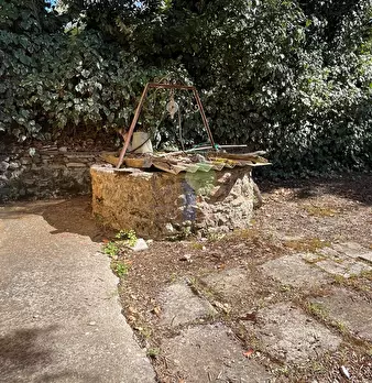 Foto annuncio 8
