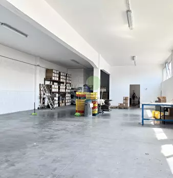 Foto annuncio 5