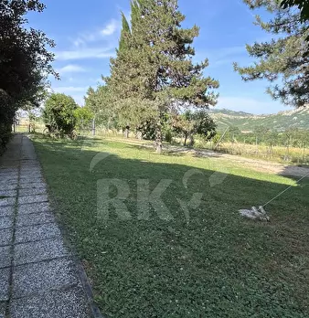 Foto annuncio 2