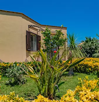 Foto annuncio 60